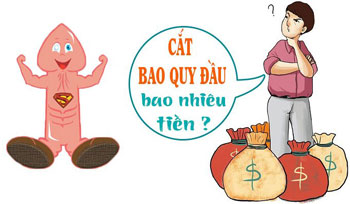 Không có ảnh